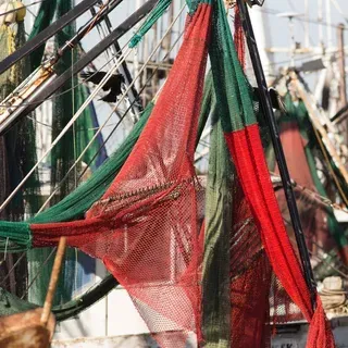 thumbnail for publication: Understanding Metrics for Communicating the Economic Importance of Florida’s Fisheries 